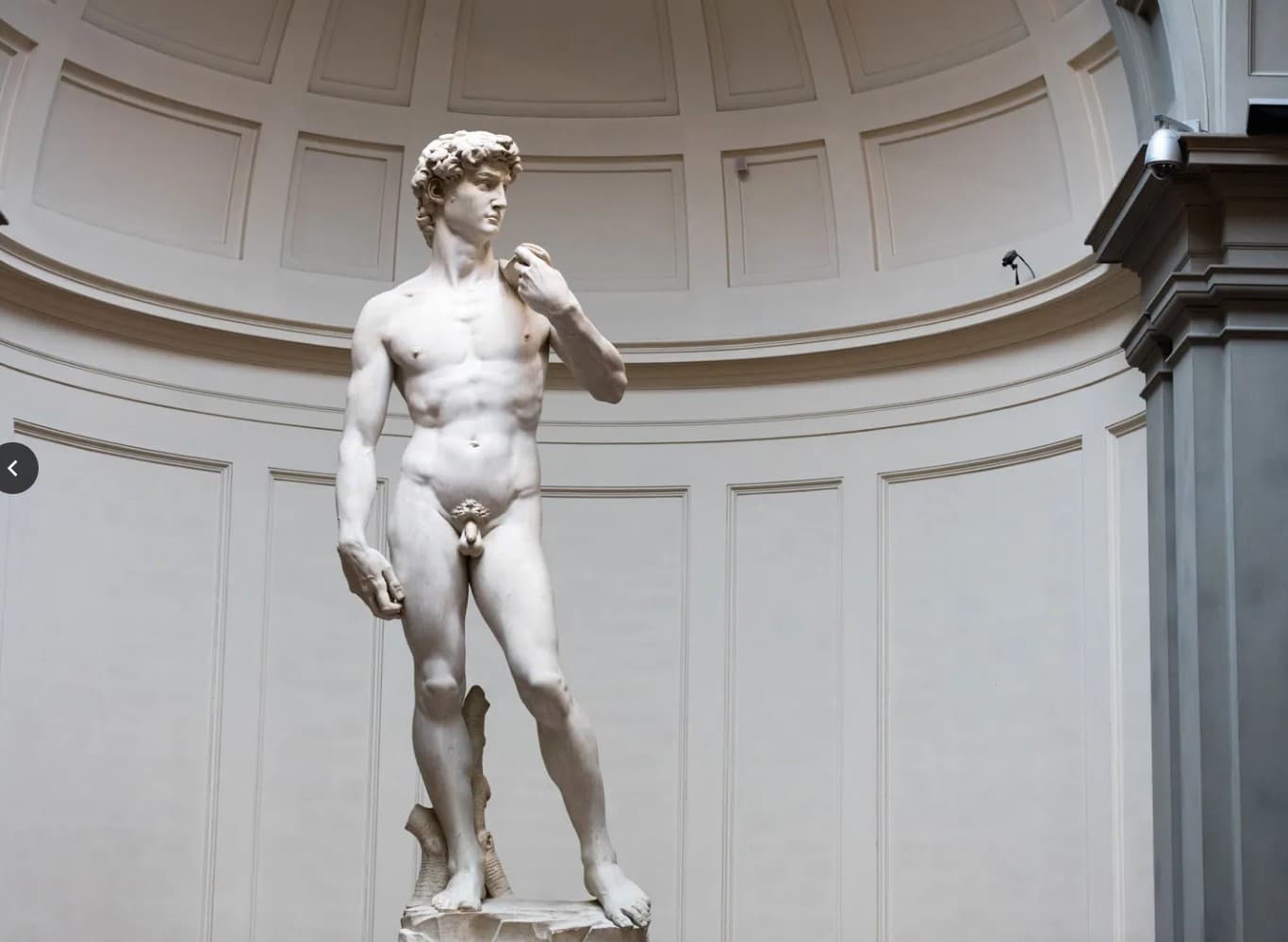 David: Сэргэн мандалтын баатар ба хүний хүч чадлын бэлгэ тэмдэг